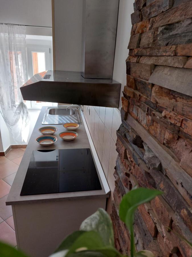The Soca House Tolmin Apartment ภายนอก รูปภาพ