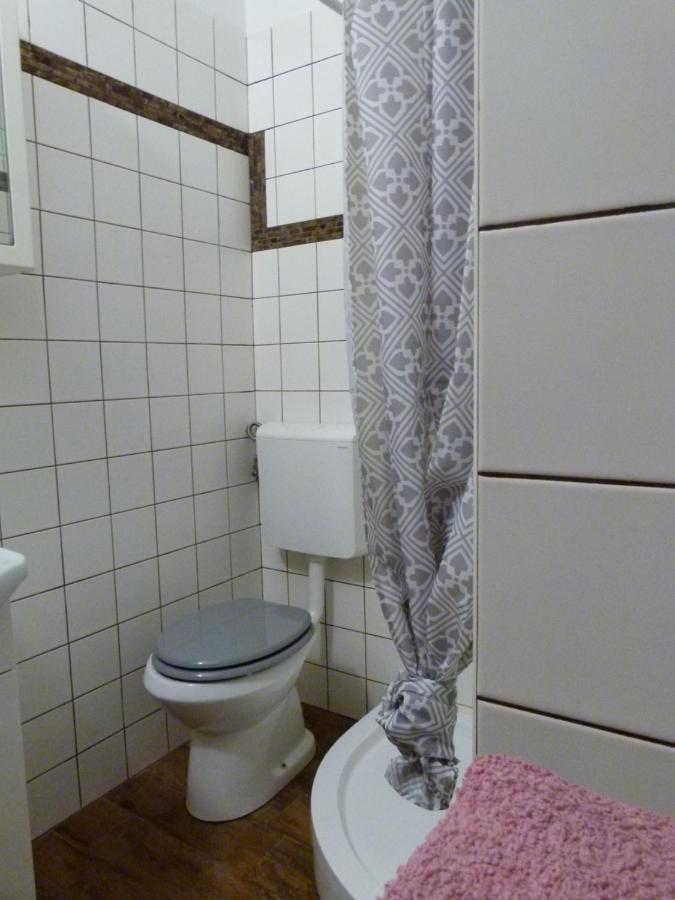 The Soca House Tolmin Apartment ภายนอก รูปภาพ